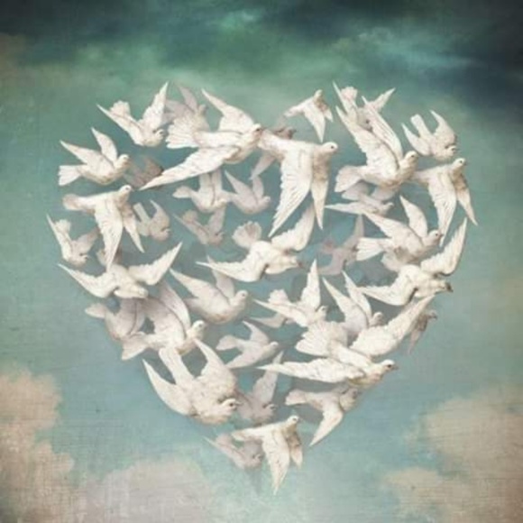 Meet your Posher, Kathy - Picture 1 of 1